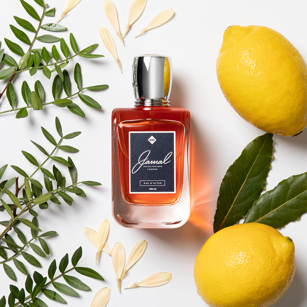 Jan London's Perfumers Alcohol, Ethanol, Isopropyl Myristate, and Propylene  blend empowers you to create custom scents for perfumes, aftershaves,  diffusers, and room sprays 500ml : : Health